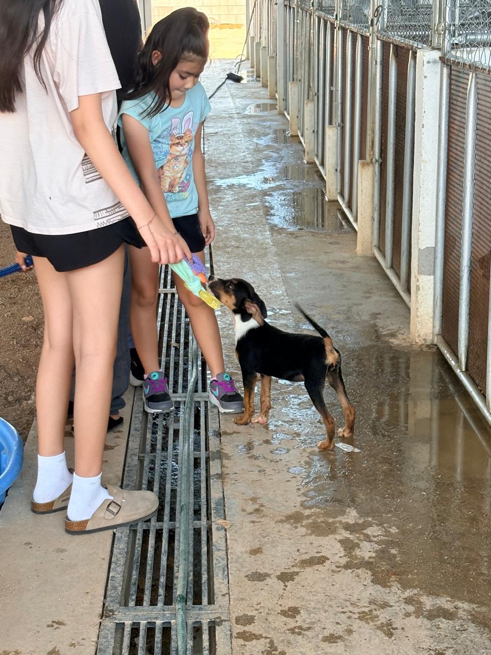 Centro de Bienestar Animal Kely